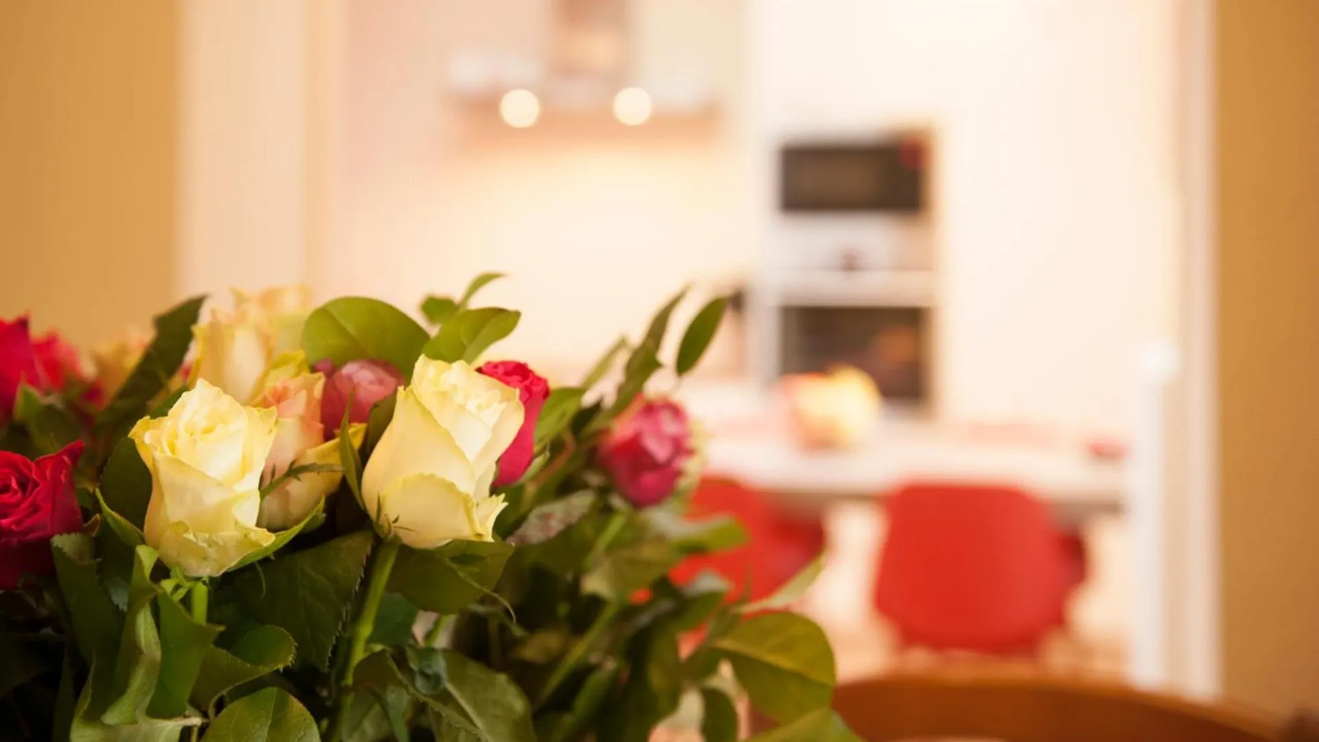 De Drie Koningen Apartment Bruges Belgium