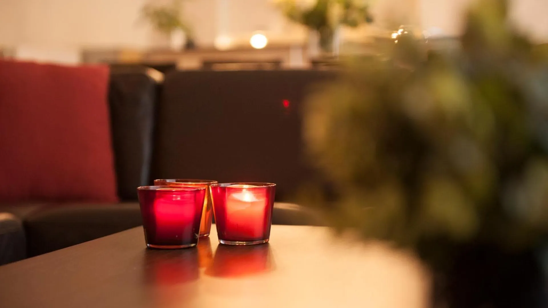 De Drie Koningen Apartment Bruges