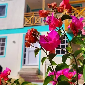 https://bnb-colorful-garden-house.sanandreshotels.com